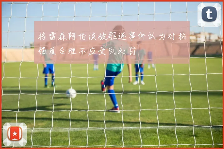 格雷森阿伦谈被驱逐事件认为对抗强度合理不应受到处罚