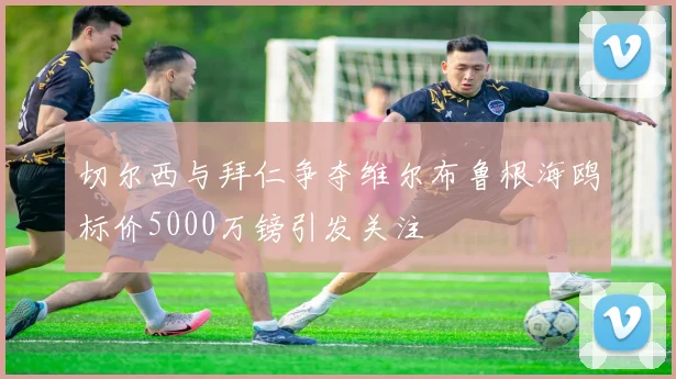 切尔西与拜仁争夺维尔布鲁根海鸥标价5000万镑引发关注