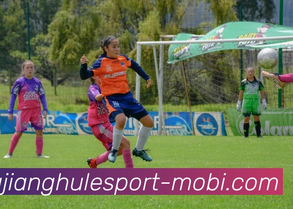 App Interface Preview